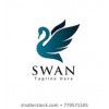 Swan