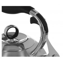 MAESTRO MR-1334 non-electric kettle