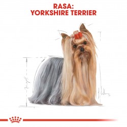 ROYAL CANIN Yorkshire Terrier Adult - dry dog food - 1,5 kg