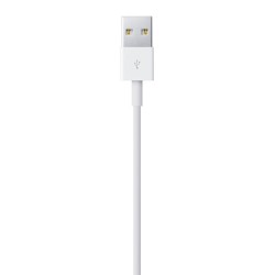 Apple Lightning to USB Cable (1В m)