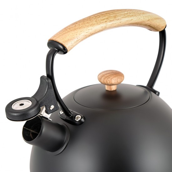 Steel kettle Promis TMC-15B - CLARA