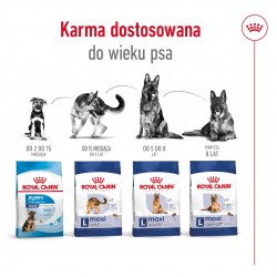 ROYAL CANIN Maxi Adult - dry dog food - 15 kg