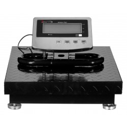 PLATFORM SCALE WT-053 300KG