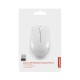 Lenovo 300 WIRELESS ?GREY mouse Ambidextrous RF Wireless Optical 1000 DPI