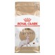 Royal Canin Sphynx dry cat food 2 kg