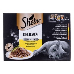 Sheba Delicacy in Jelly Chicken Flavours 12 x 85 g