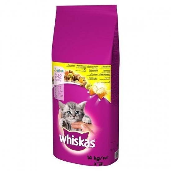 WHISKAS Junior with chicken - dry cat food - 14kg