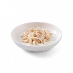 SCHESIR in jelly Chicken fillet - wet cat food - 85 g