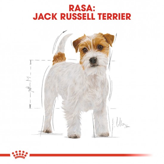 ROYAL CANIN Jack Russell Adult - Dry dog food - 7.5 kg