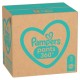 Pampers Pants Boy/Girl 3 204 pc(s)