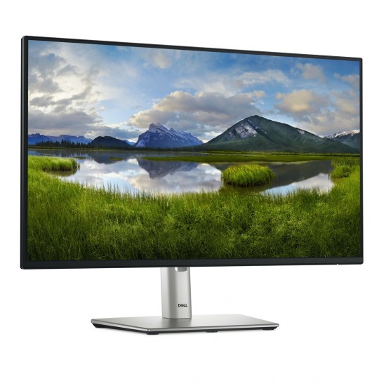 DELL P Series P2425HE computer monitor 61 cm (24