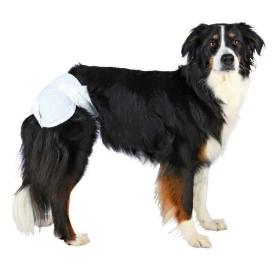 TRIXIE - Nappies for Dogs - M