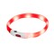 HILTON LED silicone 1.4x0.8x40 cm with USB - dog collar