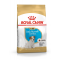 Royal Canin SHN Breed Jack Russell Junior - Dry dog food Poultry,Rice - 3 kg