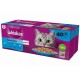 WHISKAS Fish Favourites in jelly - wet cat food - 40x85 g