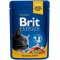 BRIT Premium Cat Salmon&Trout  - wet cat food - 100g