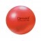 ABS rehabilitation ball with pump 55cm