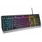 Natec GENESIS Rhod 300 RGB US Gaming keyboard USB Black