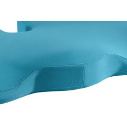 Leitz Ergo Cosy Blue Seat cushion