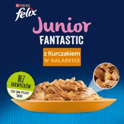 Felix Fanstastic Junior - wet cat food - 85 g