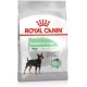 ROYAL CANIN CCN Mini Digestive Care - dry dog food - 3 kg