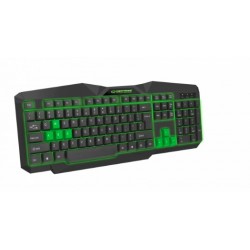 Esperanza EGK201G keyboard USB QWERTY UK English Black, Green