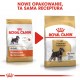 ROYAL CANIN Miniature Schnauzer Adult - dry dog food - 3 kg