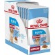 ROYAL CANIN SHN Medium Puppy in sauce  - wet puppy food - 10x140g