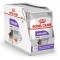 Royal Canin CCN Sterilised Loaf - wet food for adult dogs - 12x85g