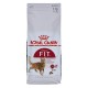 Royal Canin Feline Fit 2kg cats dry food Adult