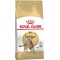 Royal Canin Bengal Adult cats dry food 2 kg Poultry, Vegetable