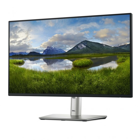 DELL P Series P2425H computer monitor 61 cm (24