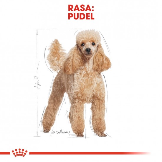 Royal Canin Poodle Adult 1.5 kg