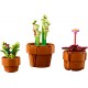 LEGO ICONS 10329 TINY PLANTS