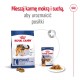 ROYAL CANIN Maxi Adult - dry dog food - 15 kg