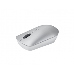 Lenovo 540 mouse Ambidextrous RF Wireless Optical 2400 DPI