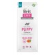 Dry food for puppies and young dogs of all breeds (4 weeks - 12 months).Brit Care Dog Grain-Free Puppy Salmon 12kg