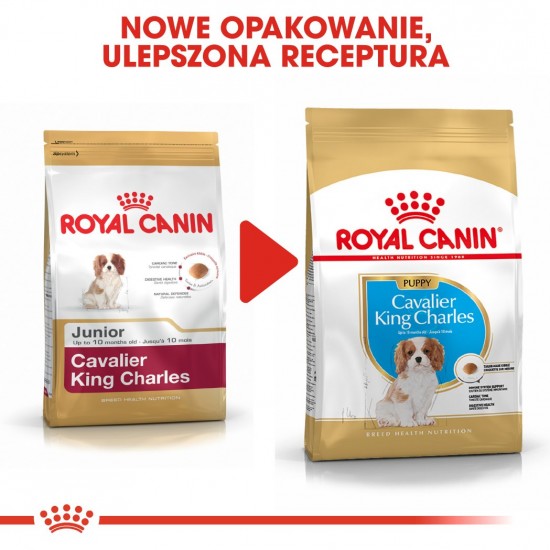 Royal Canin BHN Cavalier King Charles Spaniel Puppy - dry puppy food - 1.5kg