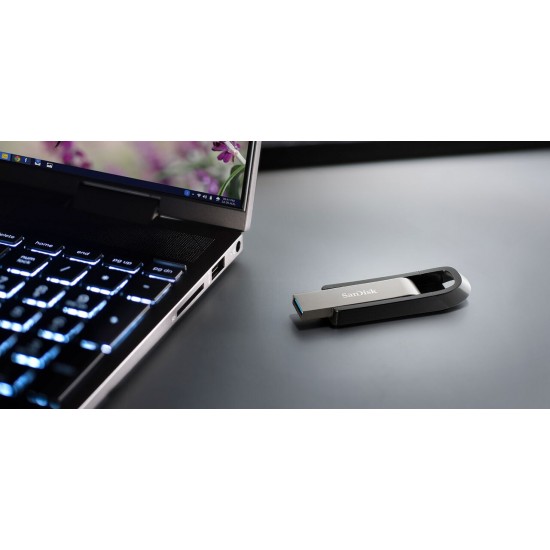 SanDisk Extreme Go USB flash drive 256 GB USB Type-A 3.2 Gen 1 (3.1 Gen 1) Stainless steel