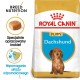 Food Royal Canin SHN Breed Dachshund Jun 1.5 kg