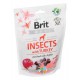 BRIT Care Dog Insects&Turkey - Dog treat - 200 g