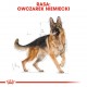 ROYAL CANIN German Shepherd 11kg