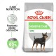 ROYAL CANIN CCN Mini Digestive Care - dry dog food - 3 kg