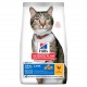 HILL'S SP Adult Oral Care Chicken - dry cat food - 7kg