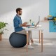 Leitz Ergo Cosy Seat Ball grey