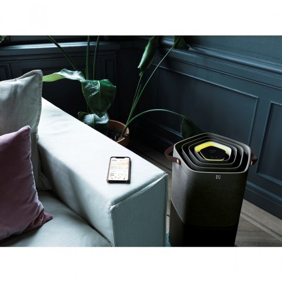 Electrolux PA91-604DG air purifier 92 m² 32 dB Grey