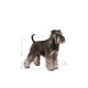 ROYAL CANIN Miniature Schnauzer Adult - dry dog food - 7,5 kg