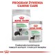 ROYAL CANIN CCN Medium Digestive Care - dry dog food - 3 kg