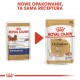 ROYAL CANIN Chihuahua - pack 12x85g