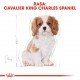 Royal Canin BHN Cavalier King Charles Spaniel Puppy - dry puppy food - 1.5kg